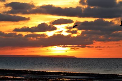 Scenic view of sea against orange sky