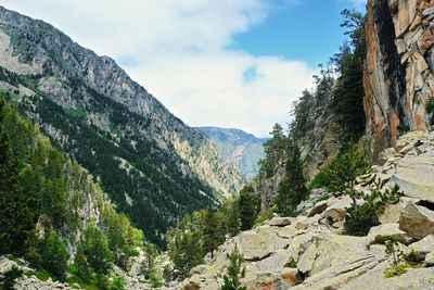 mountain