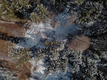 High angle view of snow on land
