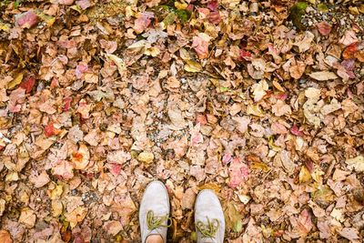 Low section of person standing on dry maple leaves