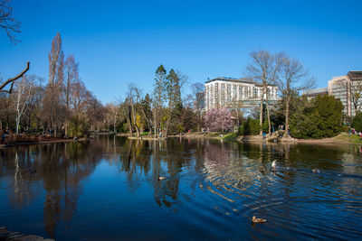 Scenic view of lake by trees against blue sky