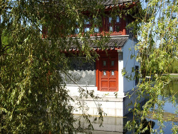 House with trees in background