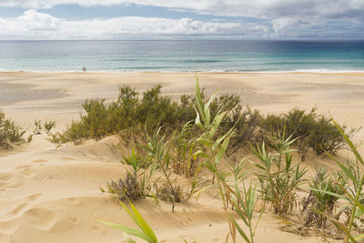 Scenic view of beach against sky