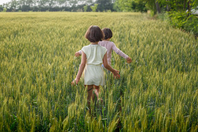 Back view of two girls with short dark hair walking away in wheat field