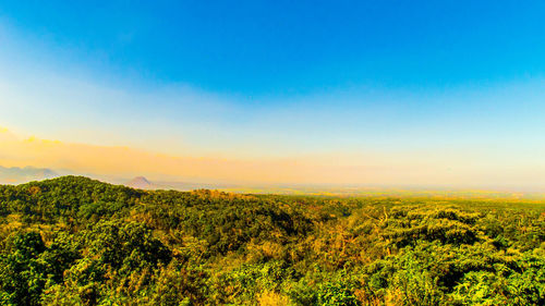 Scenic view of field against clear sky at sunset