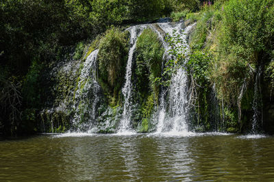 Scenic view of waterfall in forest