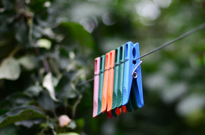 Close-up of clothes hanging on clothesline