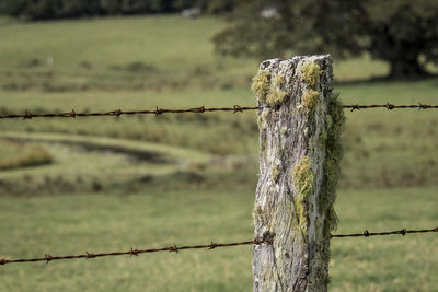 Close-up of barbed wire fence on field