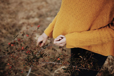 Midsection of woman holding berries on field