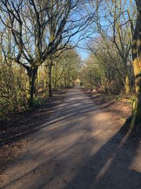 Empty road along trees and plants