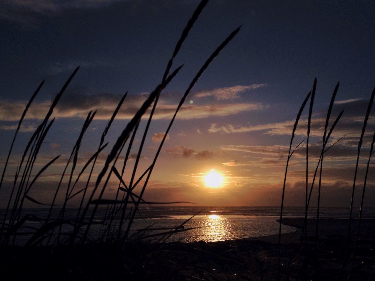 sunset, sun, nature, beauty in nature, scenics, tranquil scene, tranquility, water, sea, sky, no people, orange color, outdoors, horizon over water, cloud - sky, sunlight, beach, travel destinations, grass, mast, day