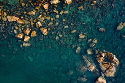 High angle view of stones on shore