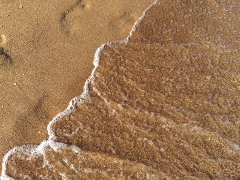 View of sandy beach