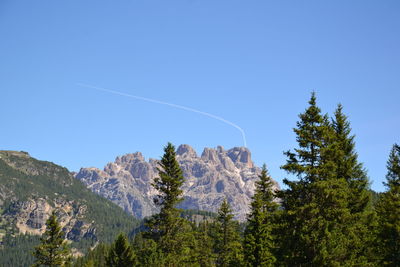 Trees on landscape against clear blue sky