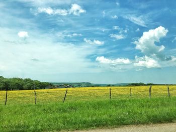 Scenic view of field against sky