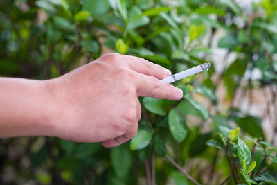 Close-up of hand holding cigarette