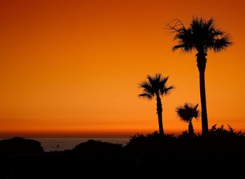 Silhouette palm trees against romantic sky at sunset