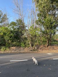 View of a street