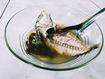 High angle view of crab in glass