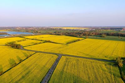 Scenic view of agricultural field against sky