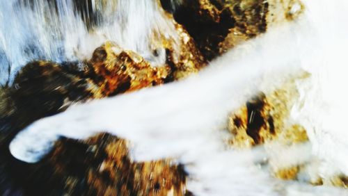 Close-up of water flowing