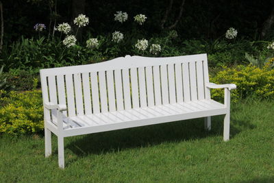 Empty bench in lawn