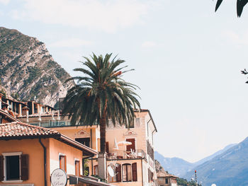 Palm trees and buildings against sky