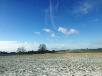 Scenic view of field against blue sky