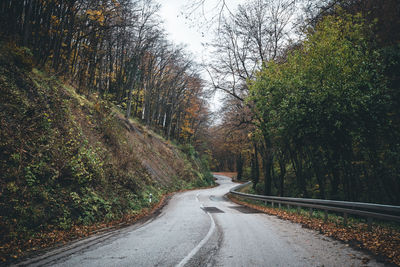 Empty road amidst trees in forest