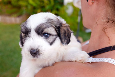 Close-up portrait of puppy