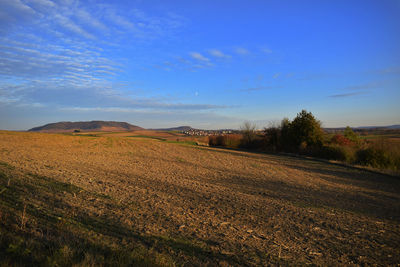 Scenic view of agricultural field against blue sky