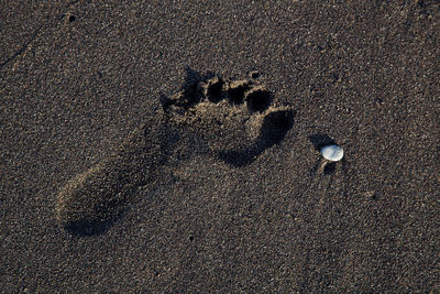 Footprints on sand