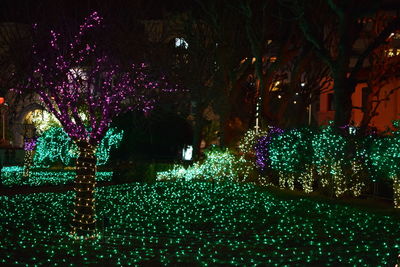 Low angle view of illuminated christmas tree at night