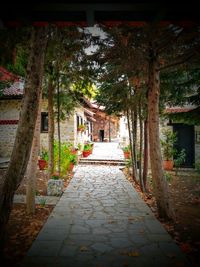 Walkway amidst trees