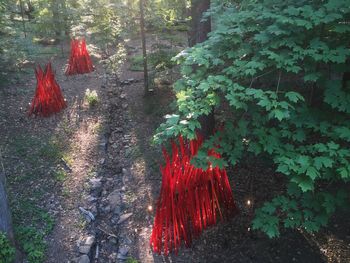 Red flowers hanging on tree