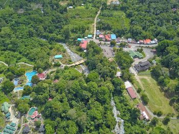 High angle view of trees and buildings