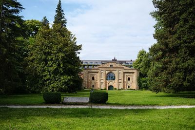 Trees in park