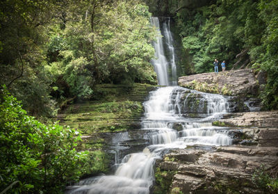 Scenic view of waterfall in forest