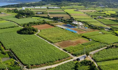 High angle view of agricultural field