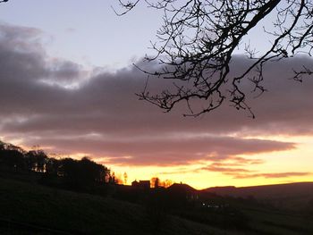 Silhouette tree against sky during sunset