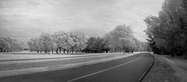 Empty road along trees in winter