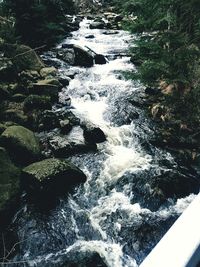 High angle view of waterfall in forest