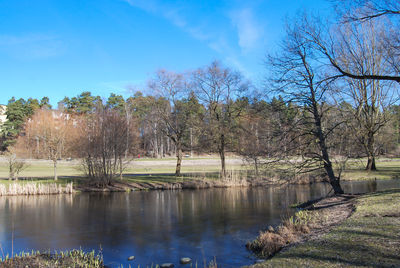 Scenic view of lake by trees against sky