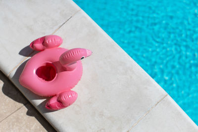 Inflatable pink mini flamingo near swimming pool on bright sunny day, copy space. concept summer