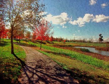Road passing through field