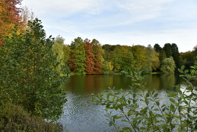 Scenic view of lake by trees against sky