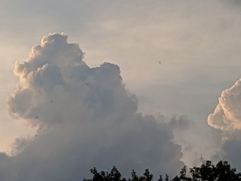 Low angle view of silhouette trees against sky