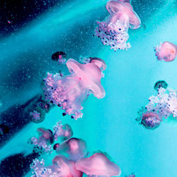 Big jellyfish under water. minimal art