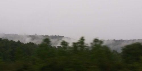 Trees on landscape against sky