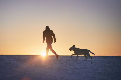 Side view of woman with dogs on beach during sunset